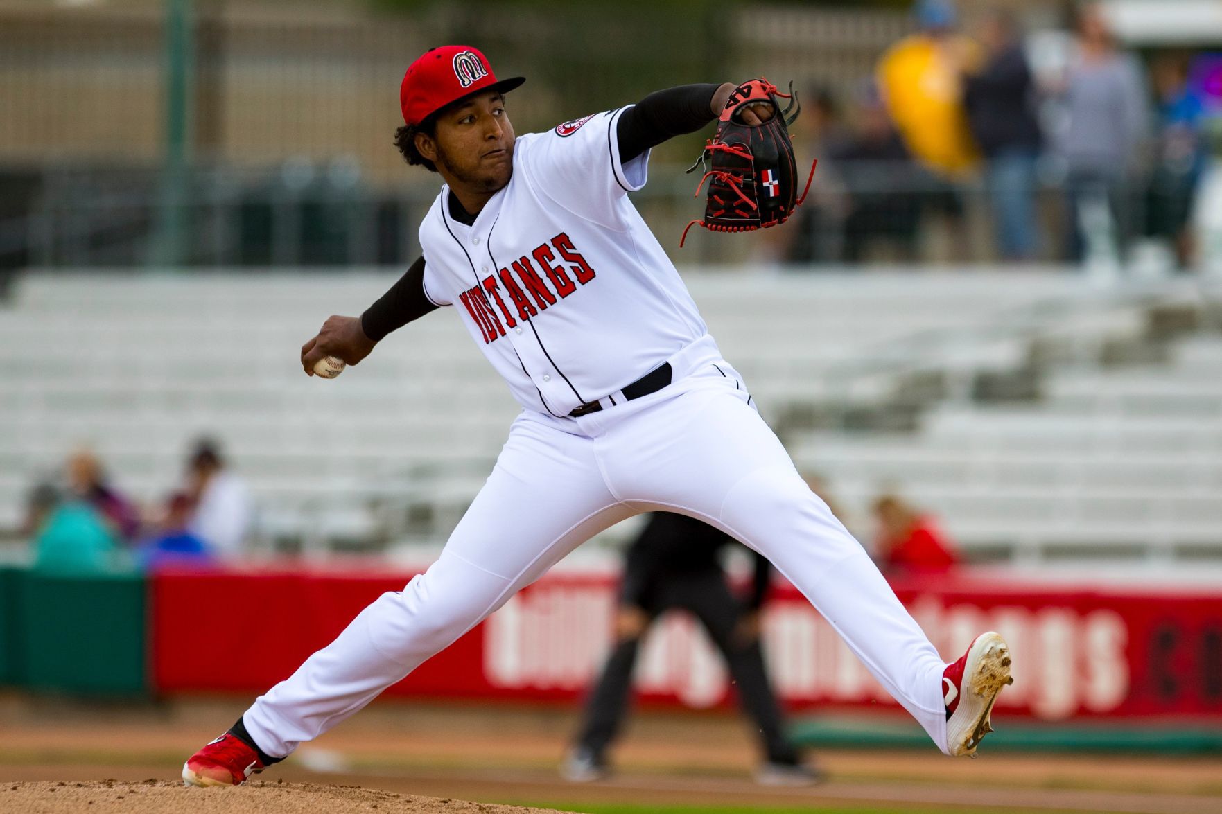 Mustangs vs. Chukars